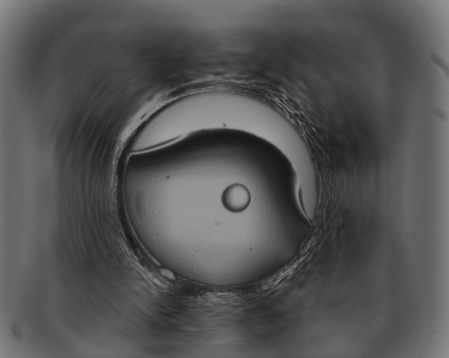 X0000091640150200709131438