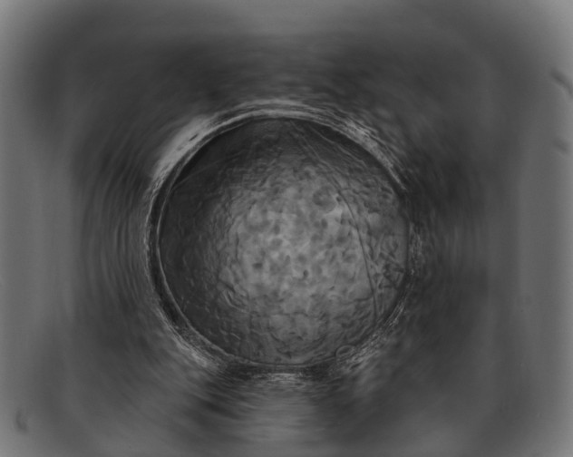 X0000091640151200709131438