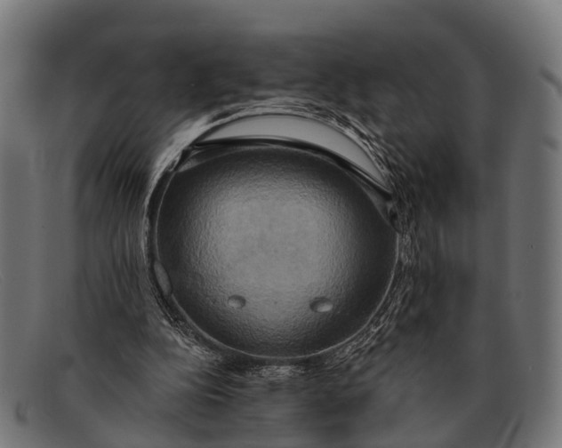 X0000091640152200709131438