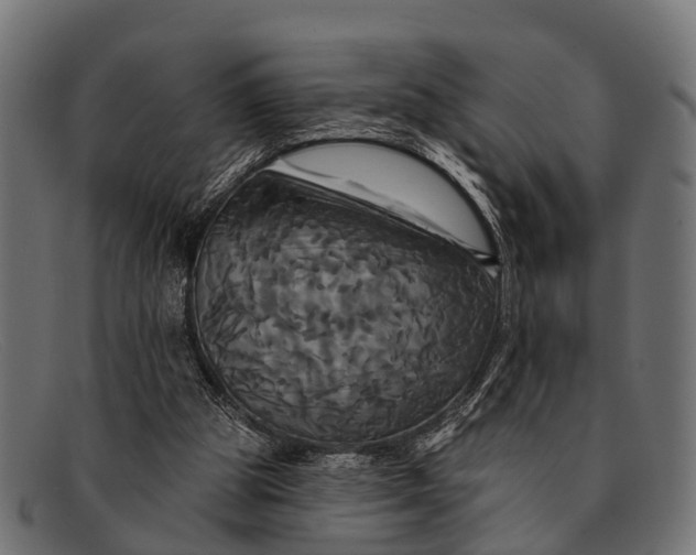 X0000091640153200709131438