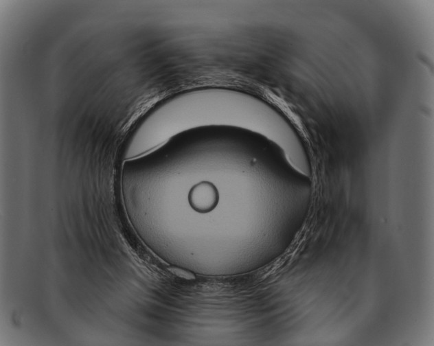 X0000091640154200709131438