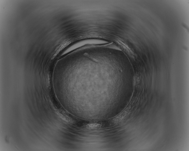 X0000091640158200709131438