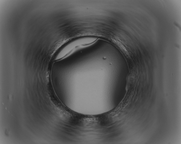 X0000091640160200709131438