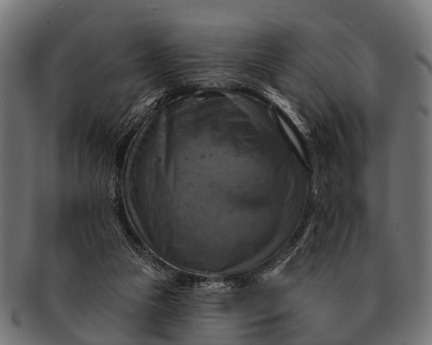 X0000091640161200709131438