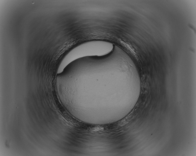 X0000091640162200709131438