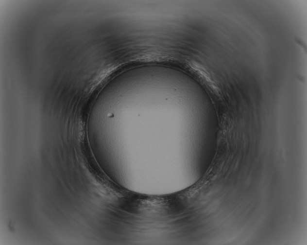 X0000091640164200709131438