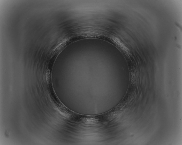 X0000091640165200709131438