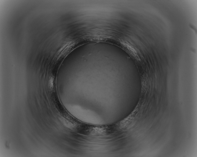 X0000091640166200709131438