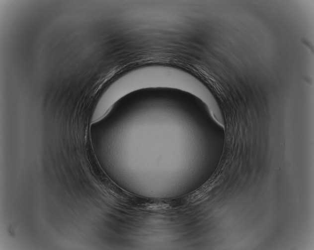X0000091640168200709131438