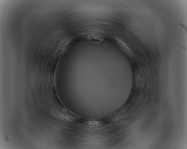 X0000091640169200709131438