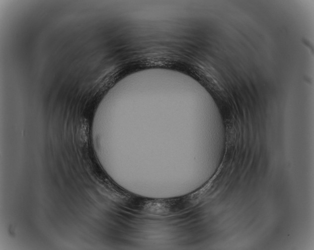 X0000091640174200709131438