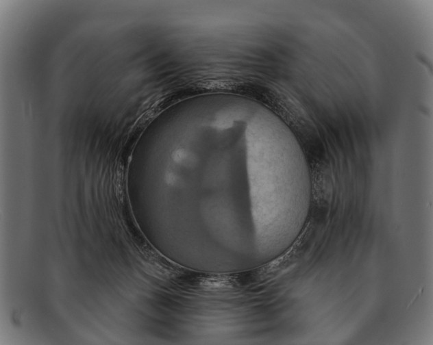X0000091640175200709131438