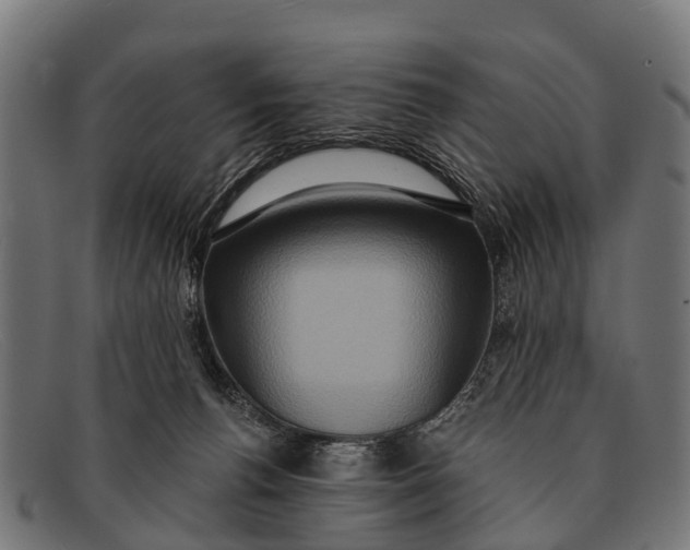 X0000091640176200709131438