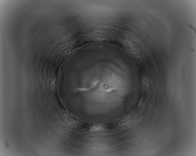 X0000091640177200709131438