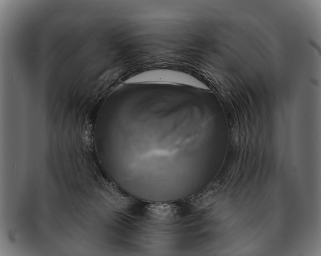 X0000091640181200709131438