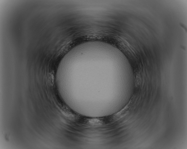 X0000091640183200709131438