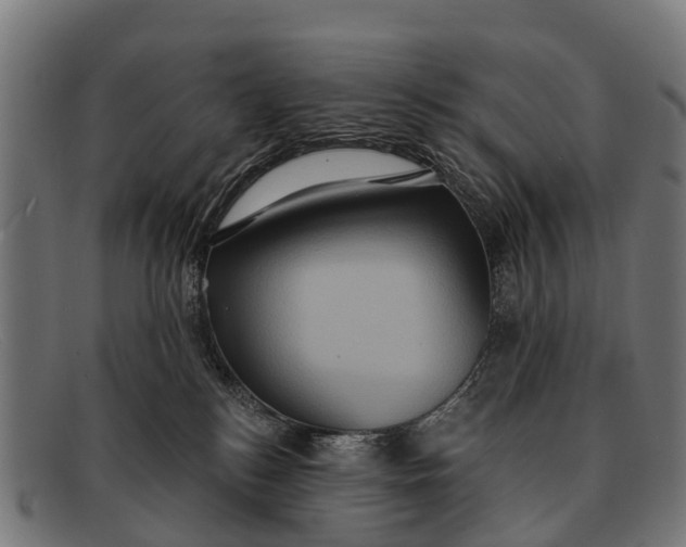 X0000091640184200709131438