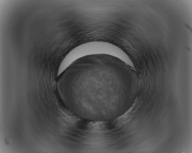 X0000091640186200709131438
