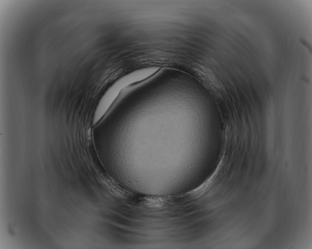 X0000091640190200709131438