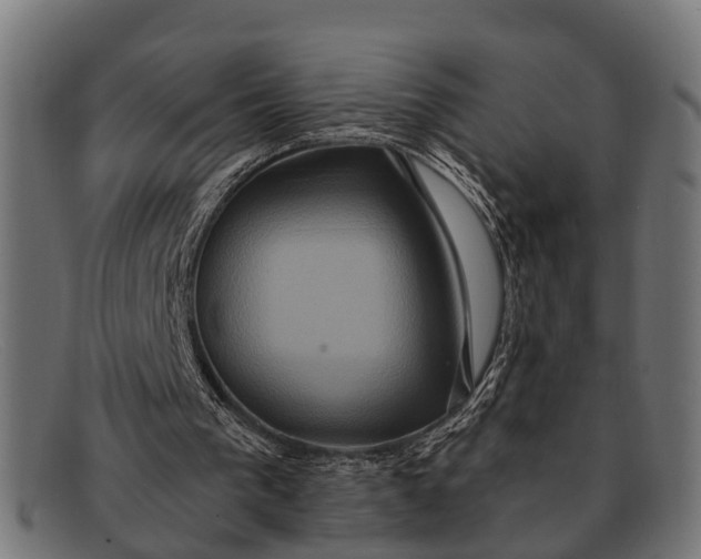 X0000091640193200709131438