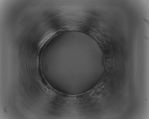 X0000091640194200709131438
