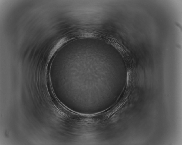 X0000091640195200709131438