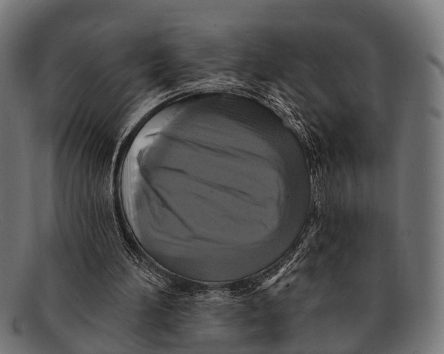 X0000091640196200709131438