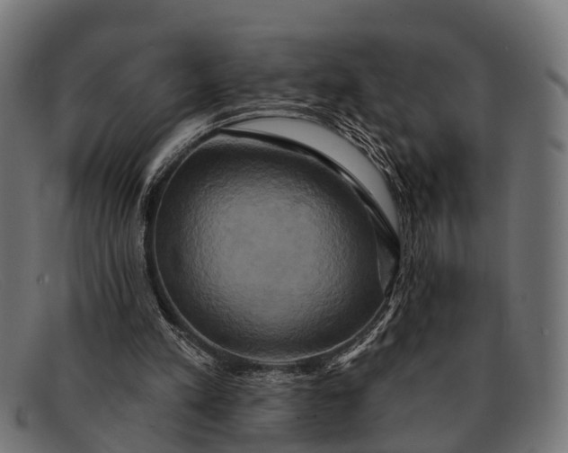 X0000091640197200709131438