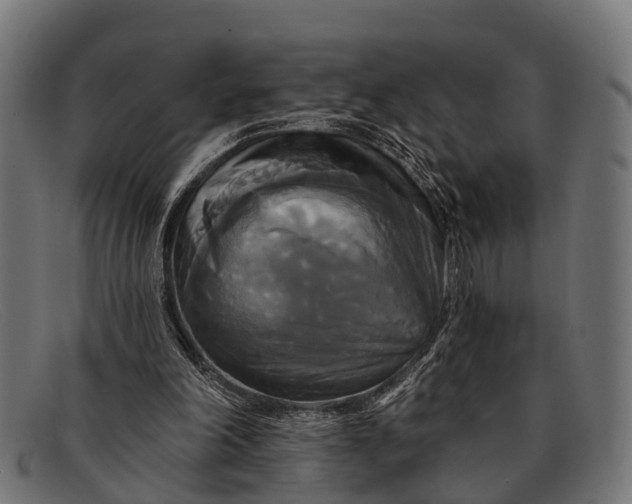 X0000091640198200709131438