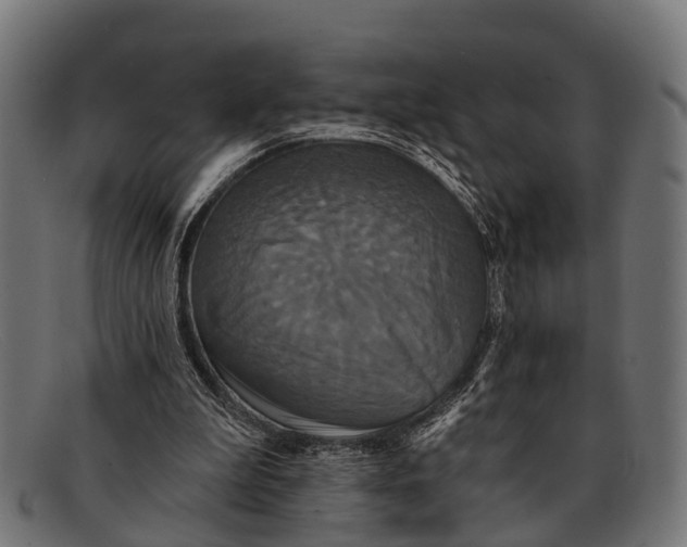 X0000091640199200709131438