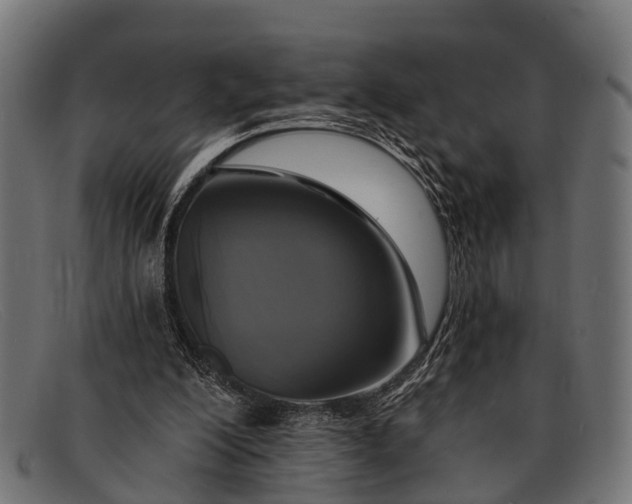 X0000091640200200709131438