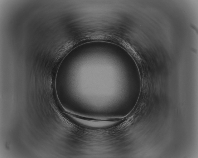 X0000091640201200709131437