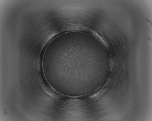 X0000091640203200709131437