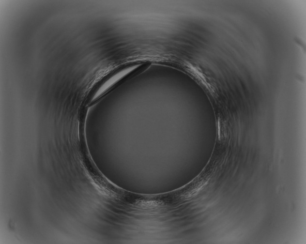 X0000091640205200709131437