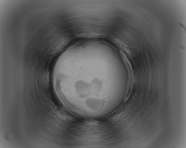 X0000091640206200709131437