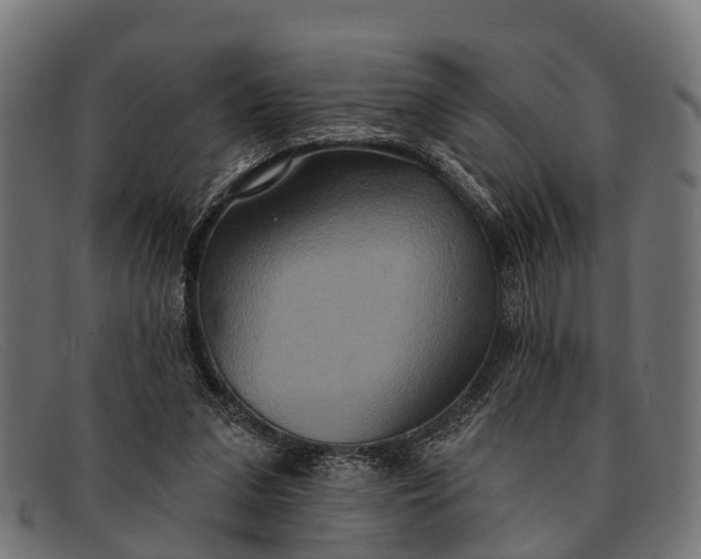 X0000091640207200709131437
