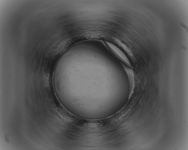 X0000091640209200709131437