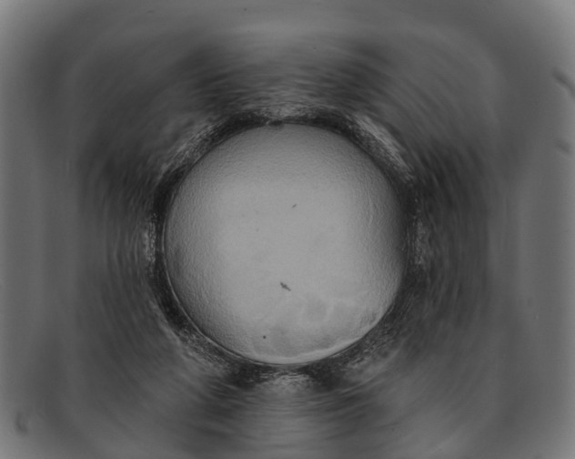 X0000091640210200709131437