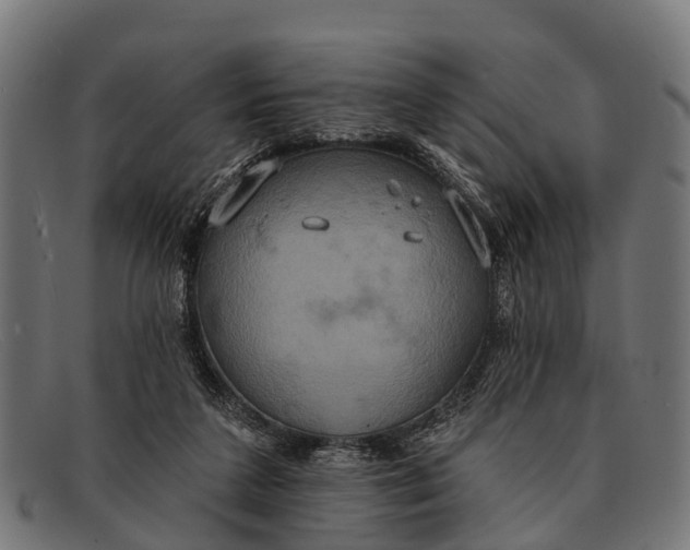 X0000091640211200709131437