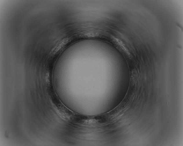 X0000091640212200709131437