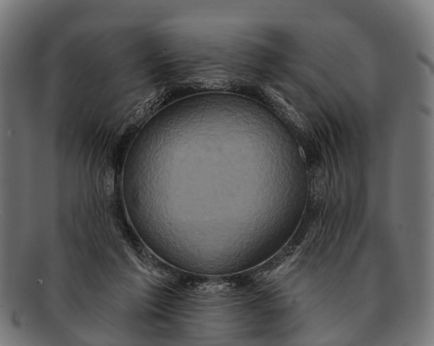 X0000091640213200709131437