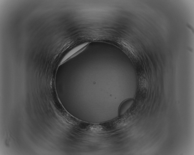 X0000091640214200709131437