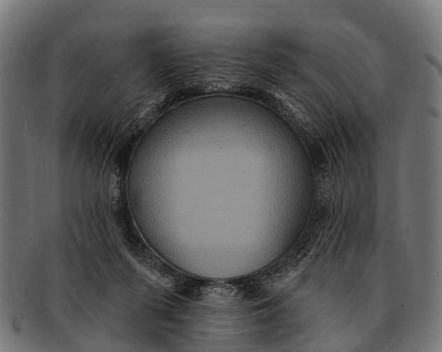 X0000091640215200709131437