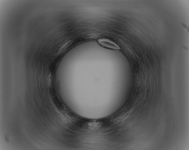 X0000091640216200709131437