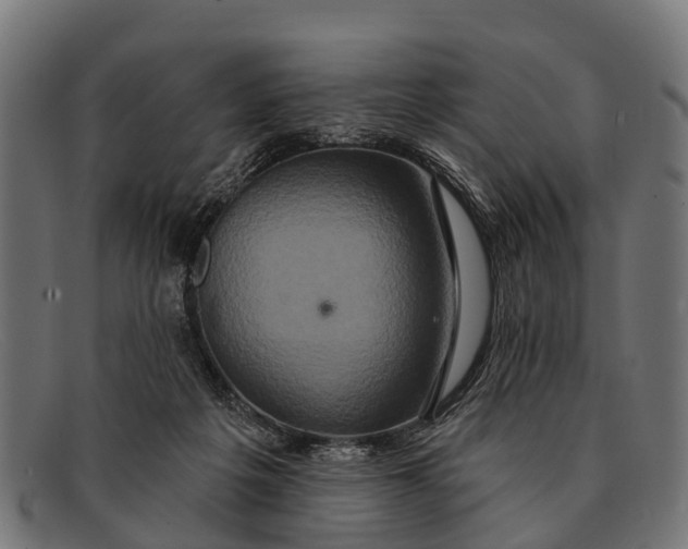 X0000091640217200709131437