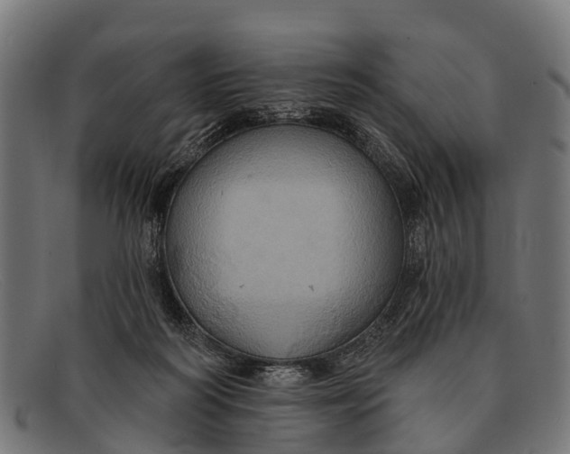 X0000091640218200709131437