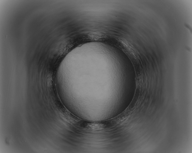 X0000091640221200709131437