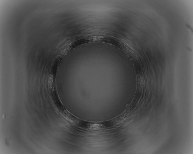 X0000091640222200709131437