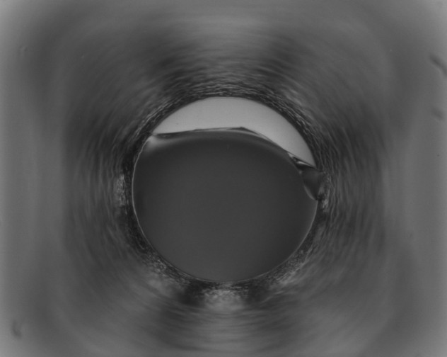 X0000091640224200709131437