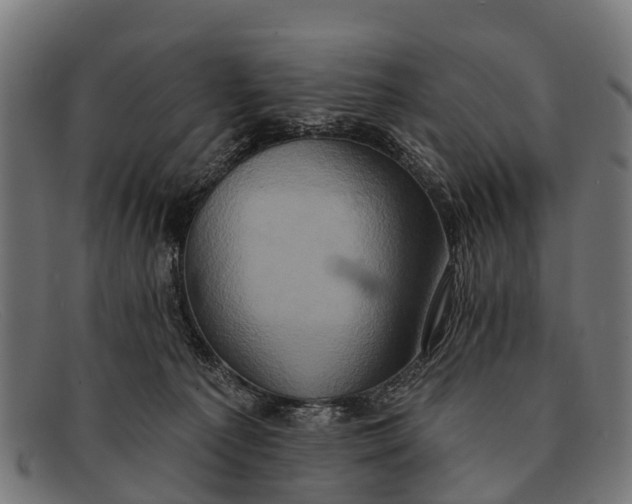 X0000091640225200709131437